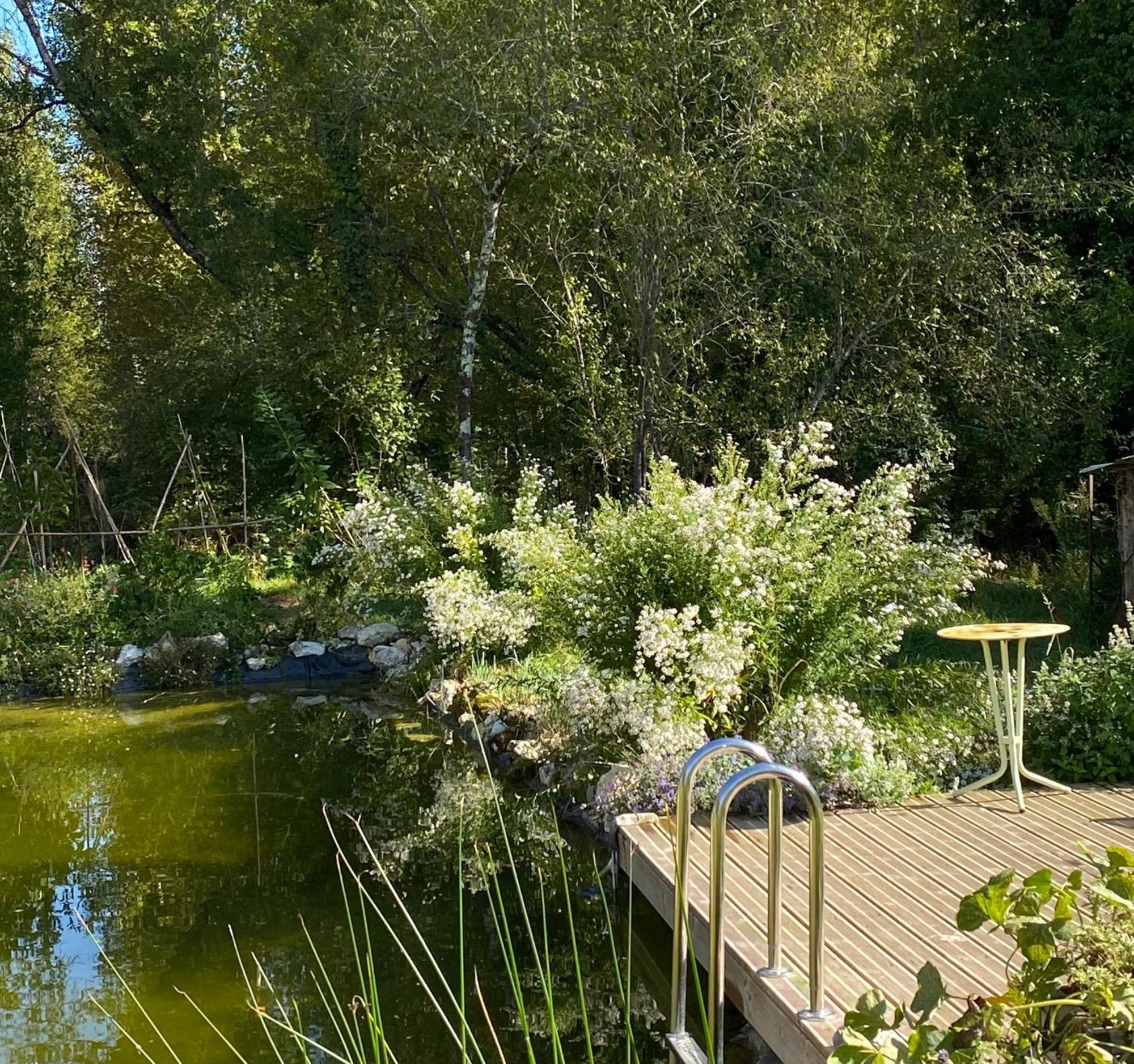 Le Moulin Scalagrand Bed & Breakfast Mazieres  Exterior photo
